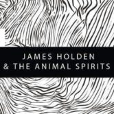 James Holden & The Animal Spirits live at CDMX