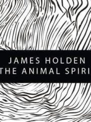 James Holden & The Animal Spirits live at CDMX