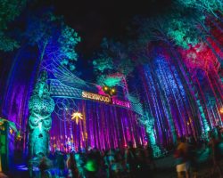 Electric Forest continua inspirando para “Ideas Verdes”