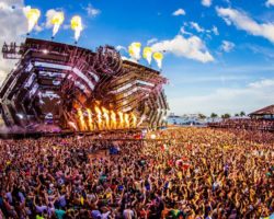 Los escenarios de UMF ya están casi listos