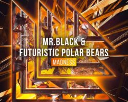 FUTURISTIC POLAR BEARS Y MR. BLACK LANZAN “MADNESS”