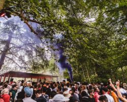 HELENA HAUFF, JOY ORBISON, FOUR TET Y MUCHOS MÁS FORMARÁN PARTE  DE HOUGHTON FESTIVAL 2020